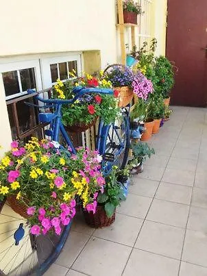 Rzeszowska Appartement